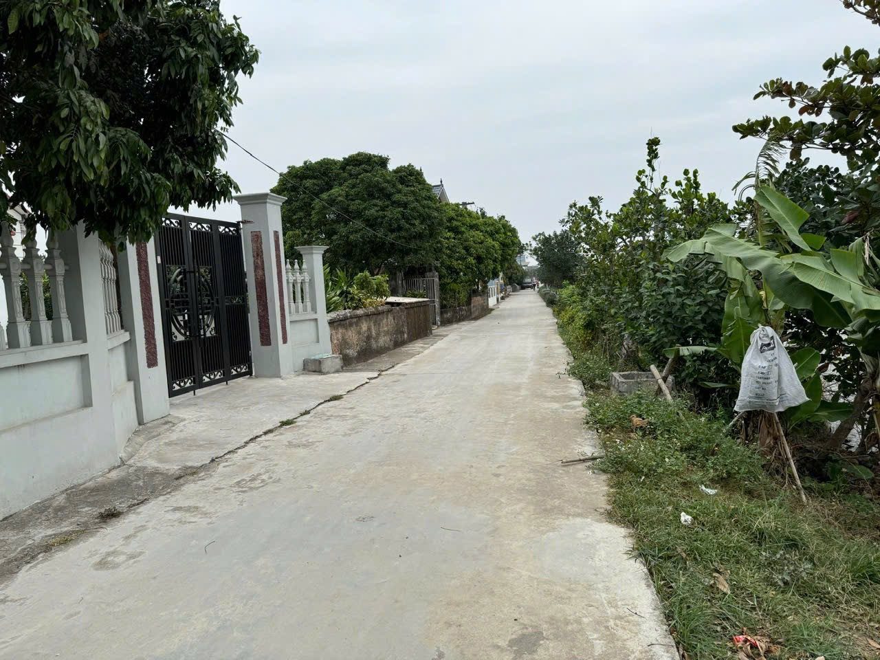 Bán đất 117,9m² full thổ cư ngang 5m giá 1.7 tỷ tại Xã Tiên Tiến