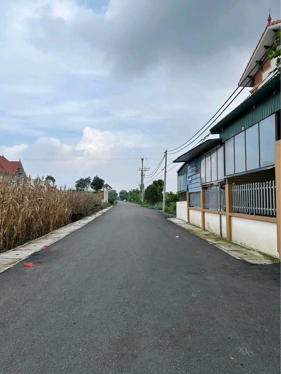 Bán đất 96,7m² full thổ cư ngang 4,22m giá 2.7 tỷ tại Xã Triệu Việt Vương