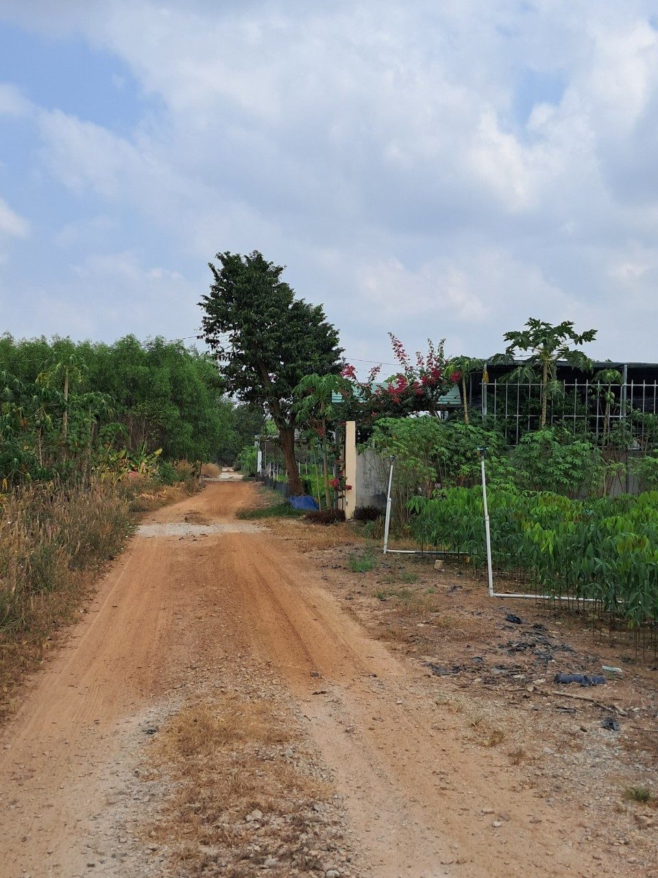 Bán đất 129m² có sẵn 50m² thổ cư ngang 5m giá 500 triệu tại Xã Trừ Văn Thố -Bàu Bàng