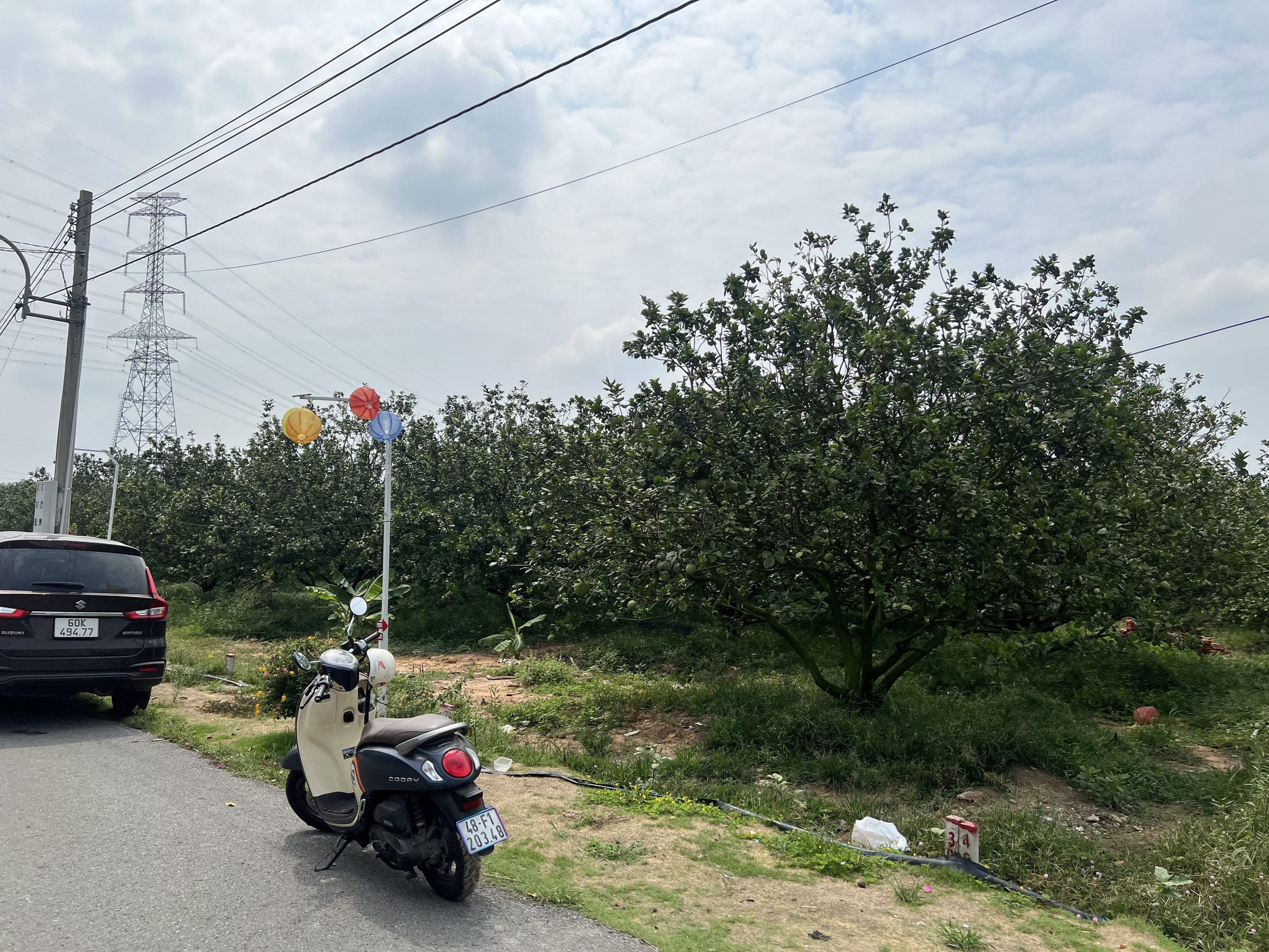 CHỦ CHUYỂN NHÀ CẦN NHƯỢNG LẠI LÔ ĐẤT SÀO SẴN VƯỜN CÂY ĂN TRÁI
