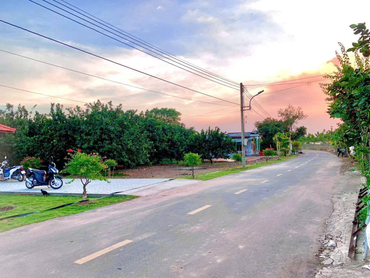 Chủ cần ra nhanh lô sào hơn 2100m2, đất sẵn vườn trái cây giá full 1ty950, vị trí cách QL 13 chỉ 1,2km. Phù hợp để xây nhà vườn, đầu tư.