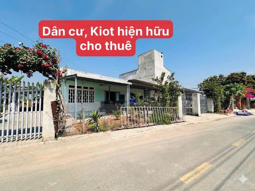 Chủ cần ra nhanh lô sào hơn 2100m2, đất sẵn vườn trái cây giá full 1ty950, vị trí cách QL 13 chỉ 1,2km. Phù hợp để xây nhà vườn, đầu tư.