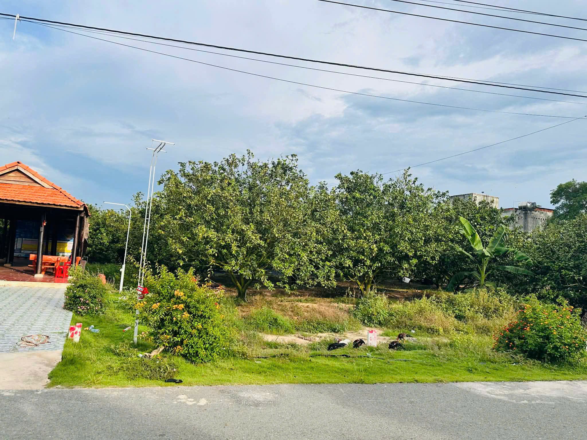 Bán Đất 1500m2 có sẵn 100 m2 thổ cư giá 2.1 tỷ tại Xã Trừ Văn Thố Huyện Bàu Bàng Bình Dương