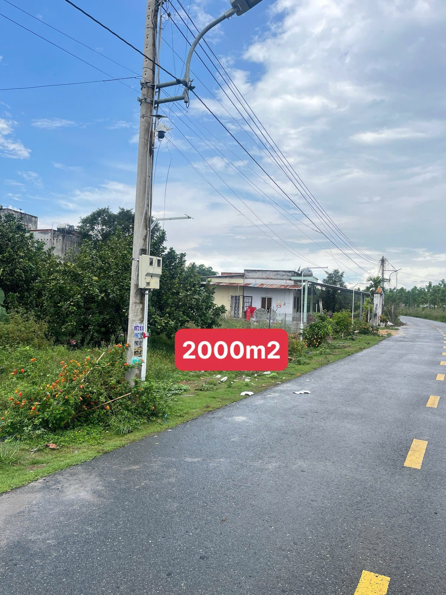 Chủ cần tiền bán gấp lô đất 2000m2, đường nhựa 16m, đối diện có dãy trọ cho thuê