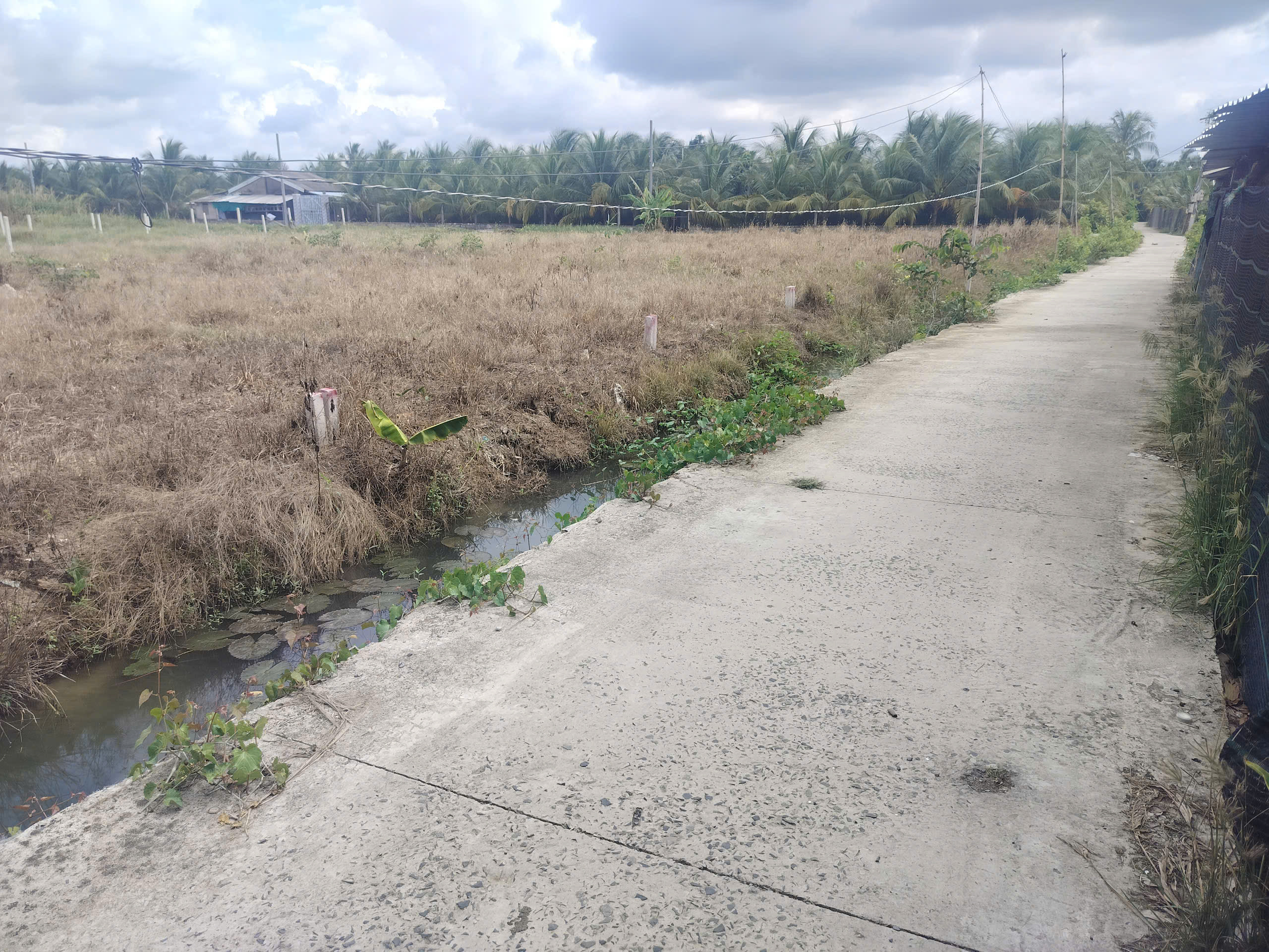 🏡 ĐẤT PHƯỜNG GIÁ RẺ – ĐƯỜNG Ô TÔ – DƯỚI 600 TRIỆU