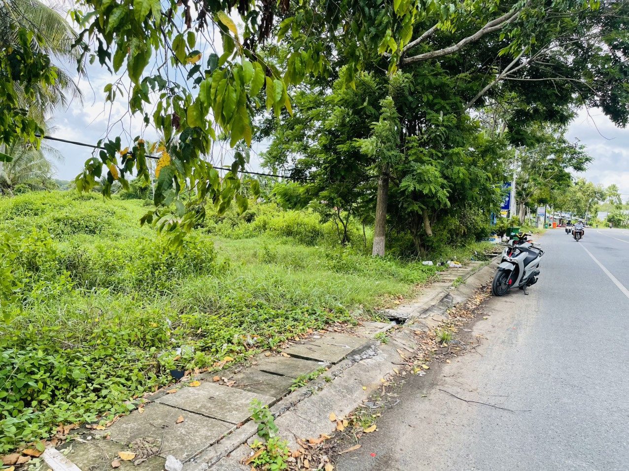 CẦN SANG LẠI 3120M MẶT TIỀN ĐƯỜNG NAM SÔNG HẬU, DÂN ĐÔNG SAN SÁT TIỆN KINH DOANH BUÔN BÁN GIÁ BÁN LỖ 250 TRIỆU/MN