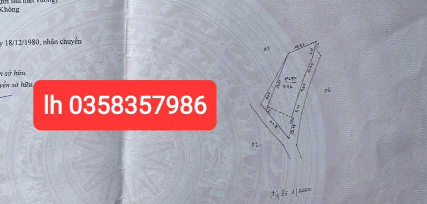 Bán đất 746m² ngang 21.8m Xã Trung Giã
