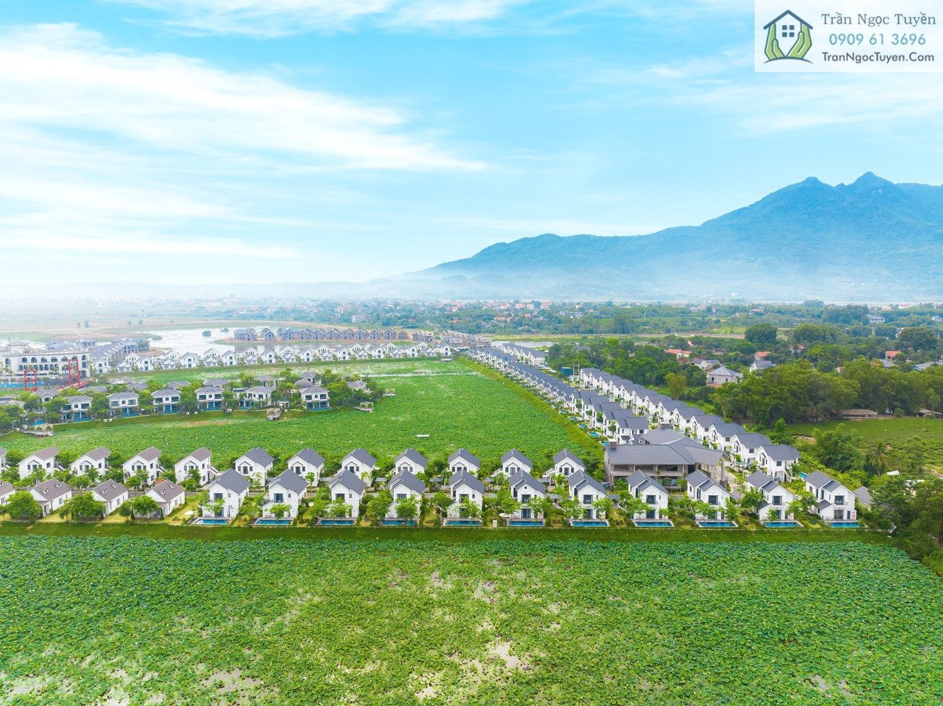 Biệt thự Vườn Vua đa dạng căn đẹp cho anh chị lựa chọn
