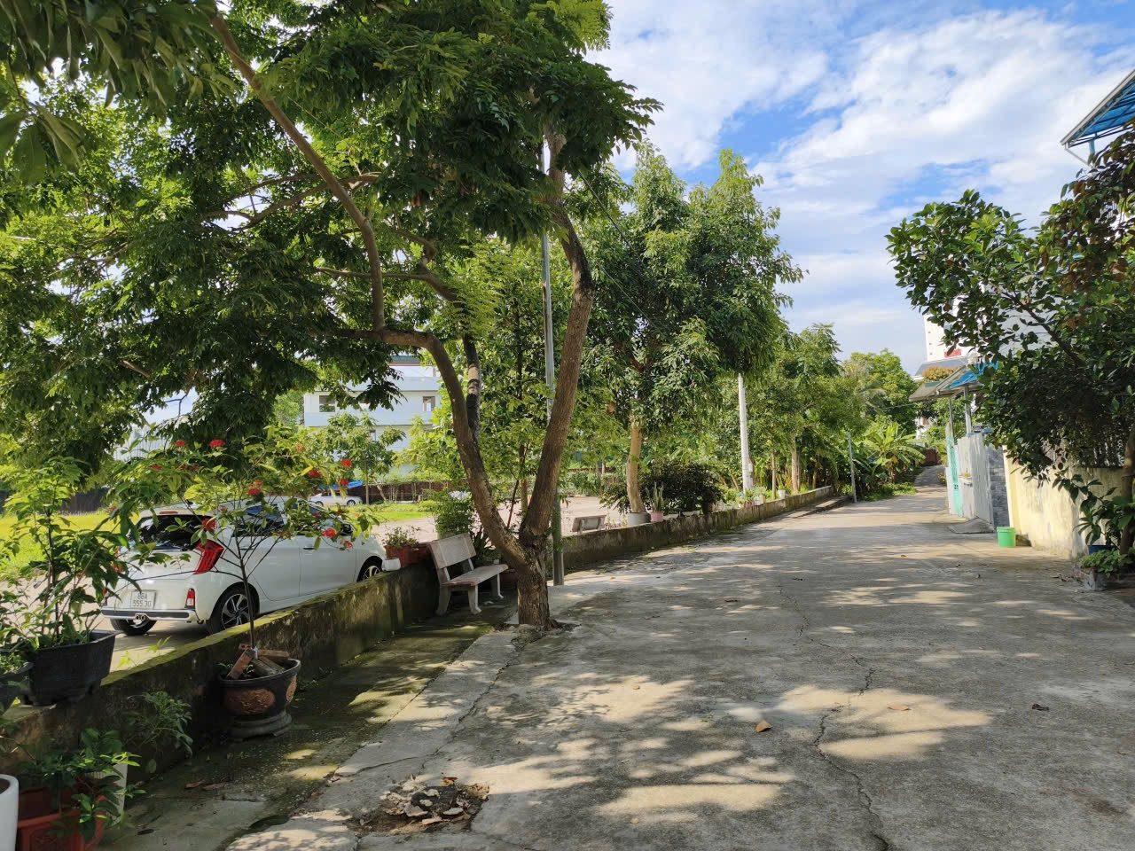 Bán đất Trưng Vương 188.6m2 full thổ cư giá 8,xx tỷ