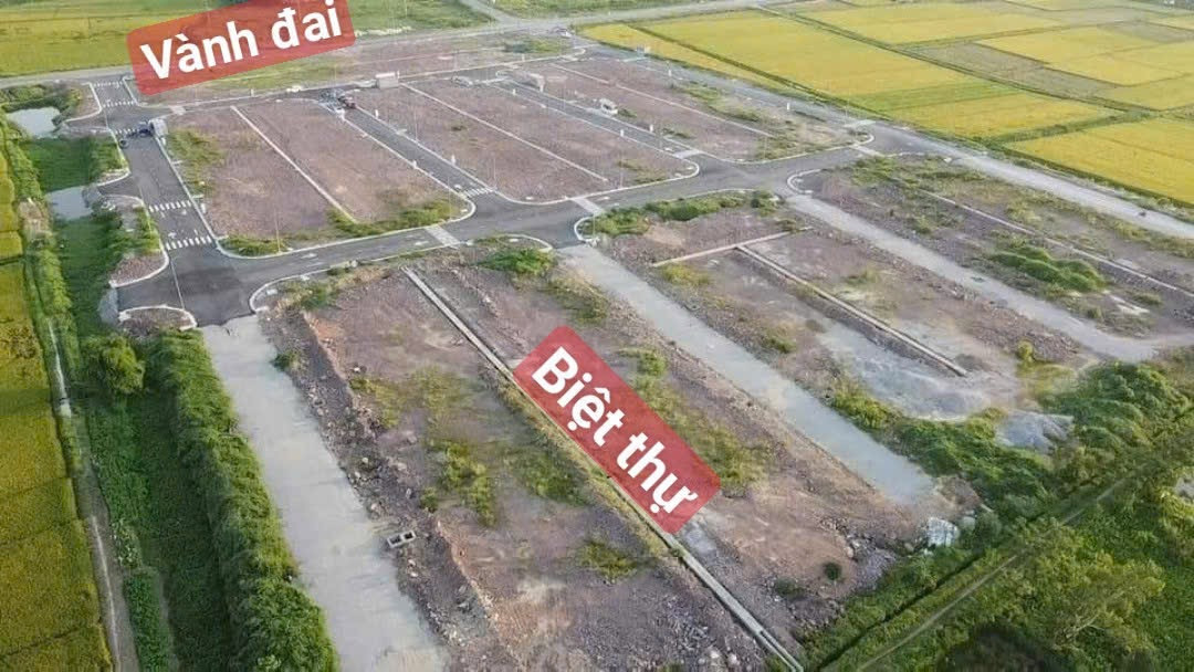 Đấu Giá Phùng Hưng - Tư Mại cách KCN Đồng Phúc chỉ vài trăm mét . 1 lô duy nhất giá đẹp nhất thị trường giá chỉ 2tyxx . LH 0983088192 để CHỐT ✈️✈️