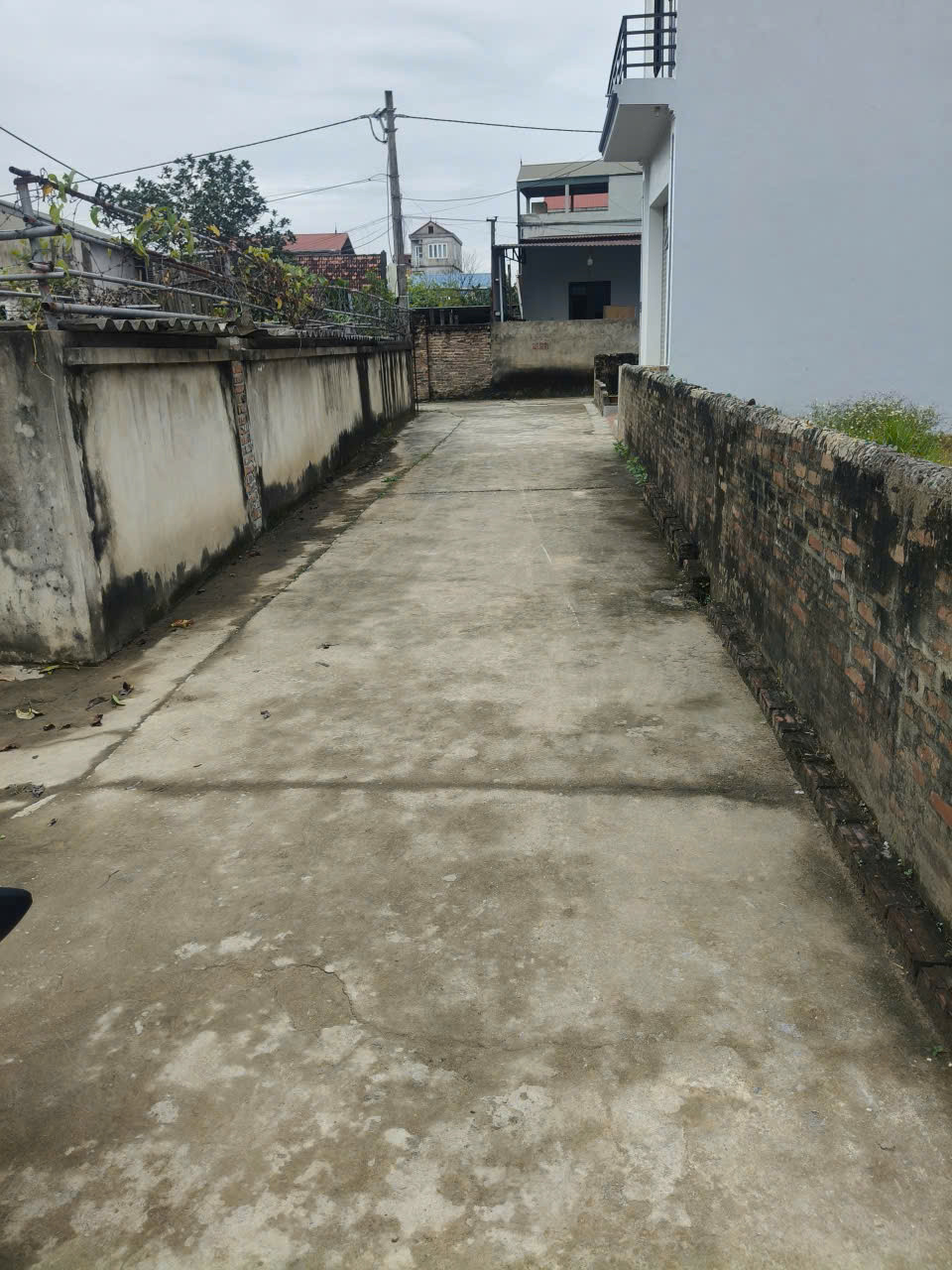 🔥 64m²  - Tự Nhiên | Nở Hậu Nhẹ🔥
