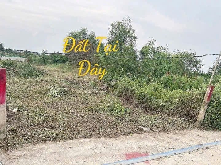 Bán đất 234.9m² có sẵn 234m² thổ cư ngang 6m giá 390 triệu tại Xã Vàm Cỏ