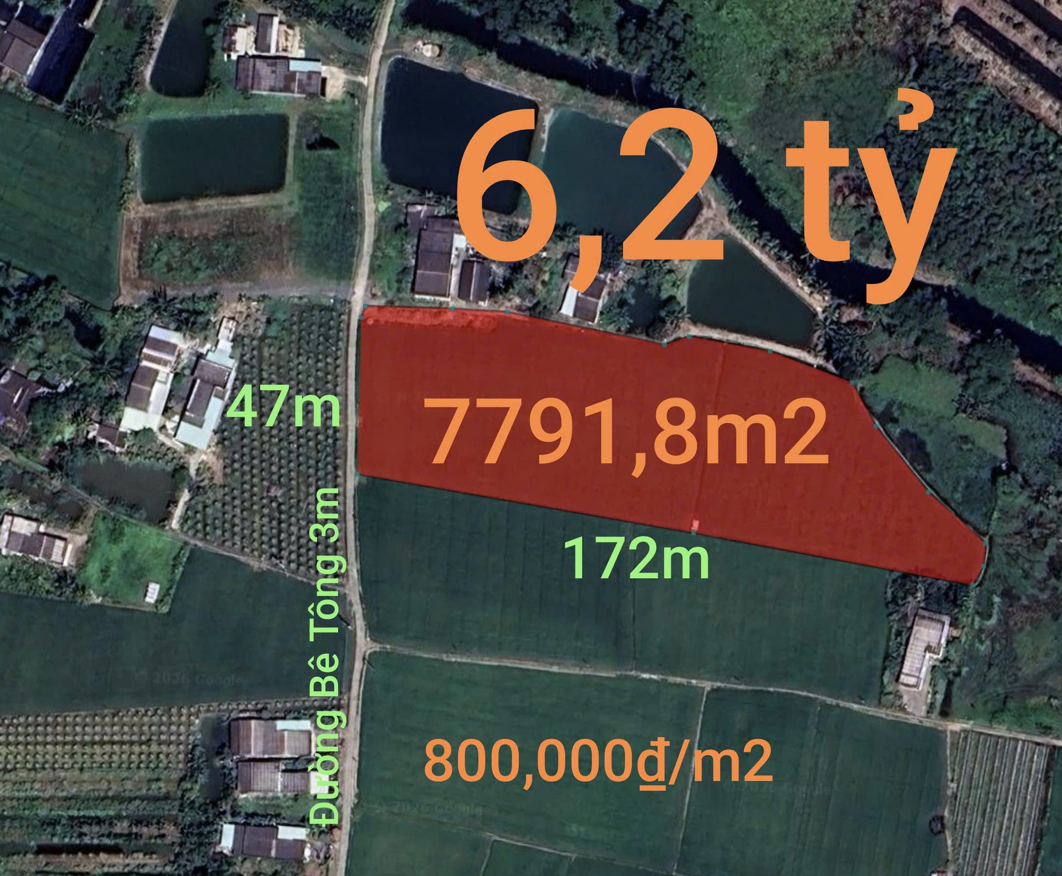 Bán đất 7791,8m² ngang 47m giá 6.2 tỷ tại Xã Vàm Cỏ