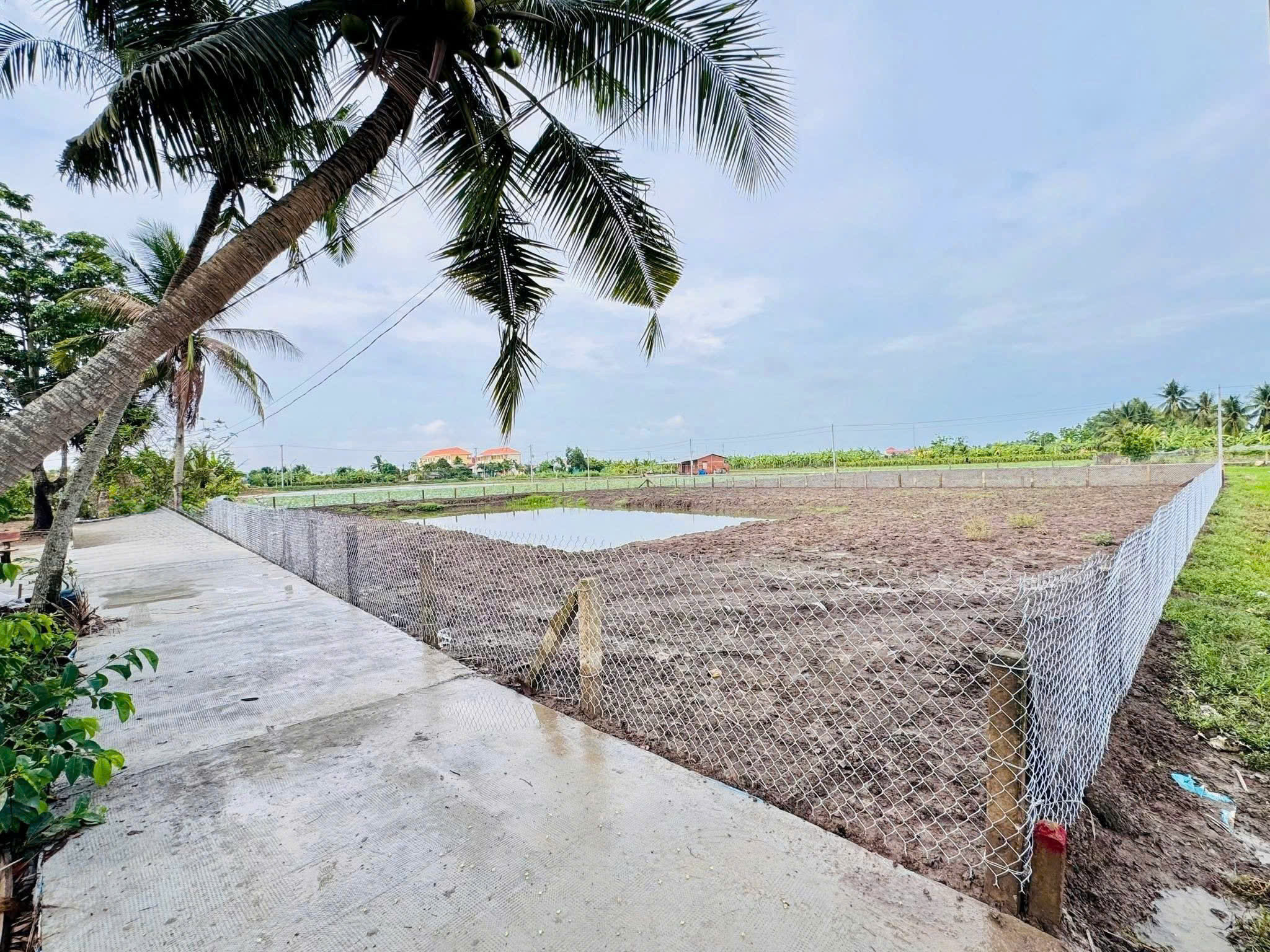 Bán đất thổ cư + lúa 1586m2 trong đó có 291m2 thổ cư kế bên động lực 827e tại Long An
