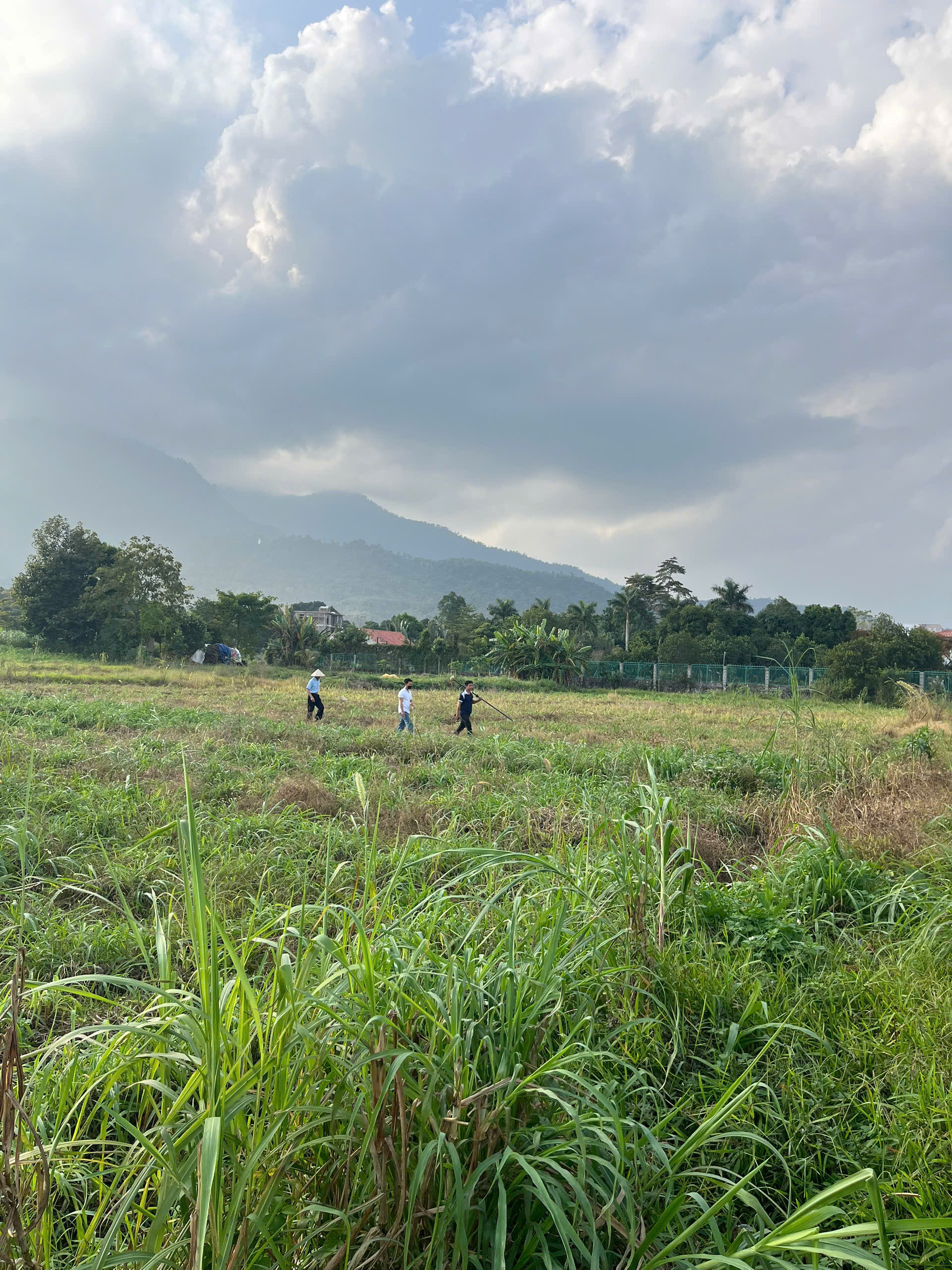 Đất Yên Bài(mới) pháp lý rõ ràng cách trung tâm Hà Nội hơn 40km