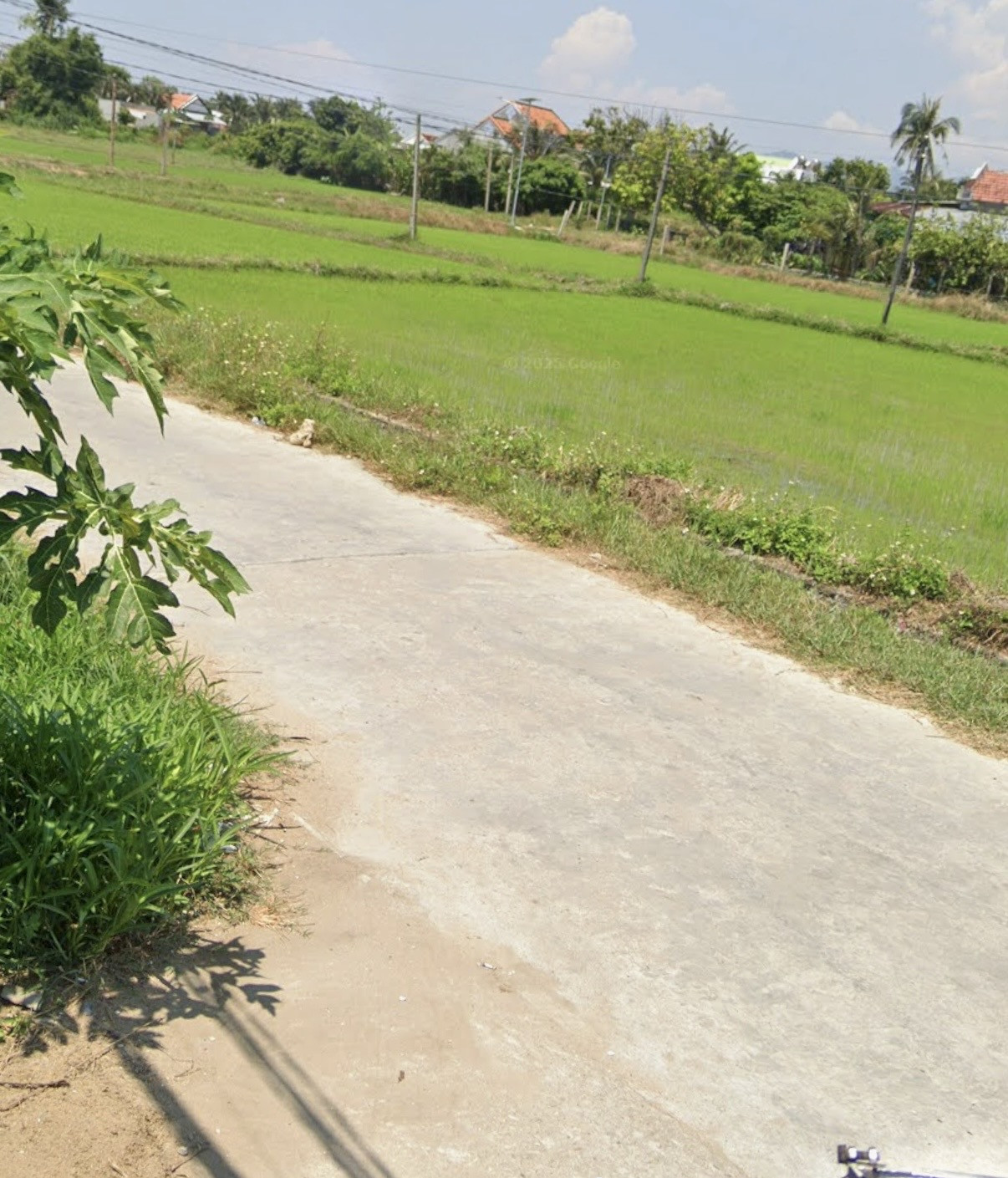 Bán Lô Tân Phước Bắc Vạn Ninh View Ruộng Cách Đường Lớn Nguyễn Huệ Chỉ 200m Giá 17 Triệu/M