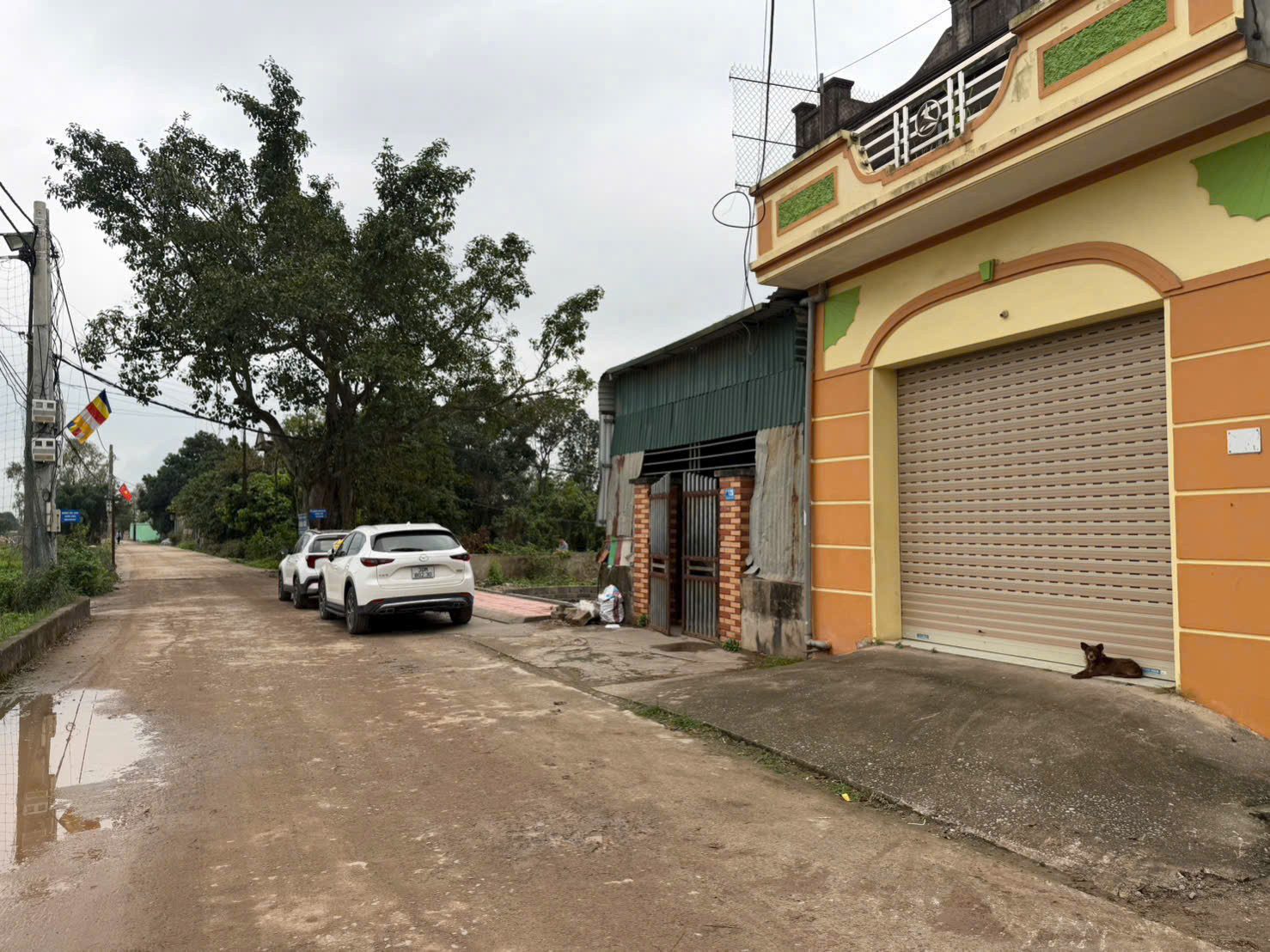 Đất đầu tư Làng Nghề Phú Xuyên Chính chủ đất ô tô tránh cực đẹp Vân Từ, Phú Xuyên