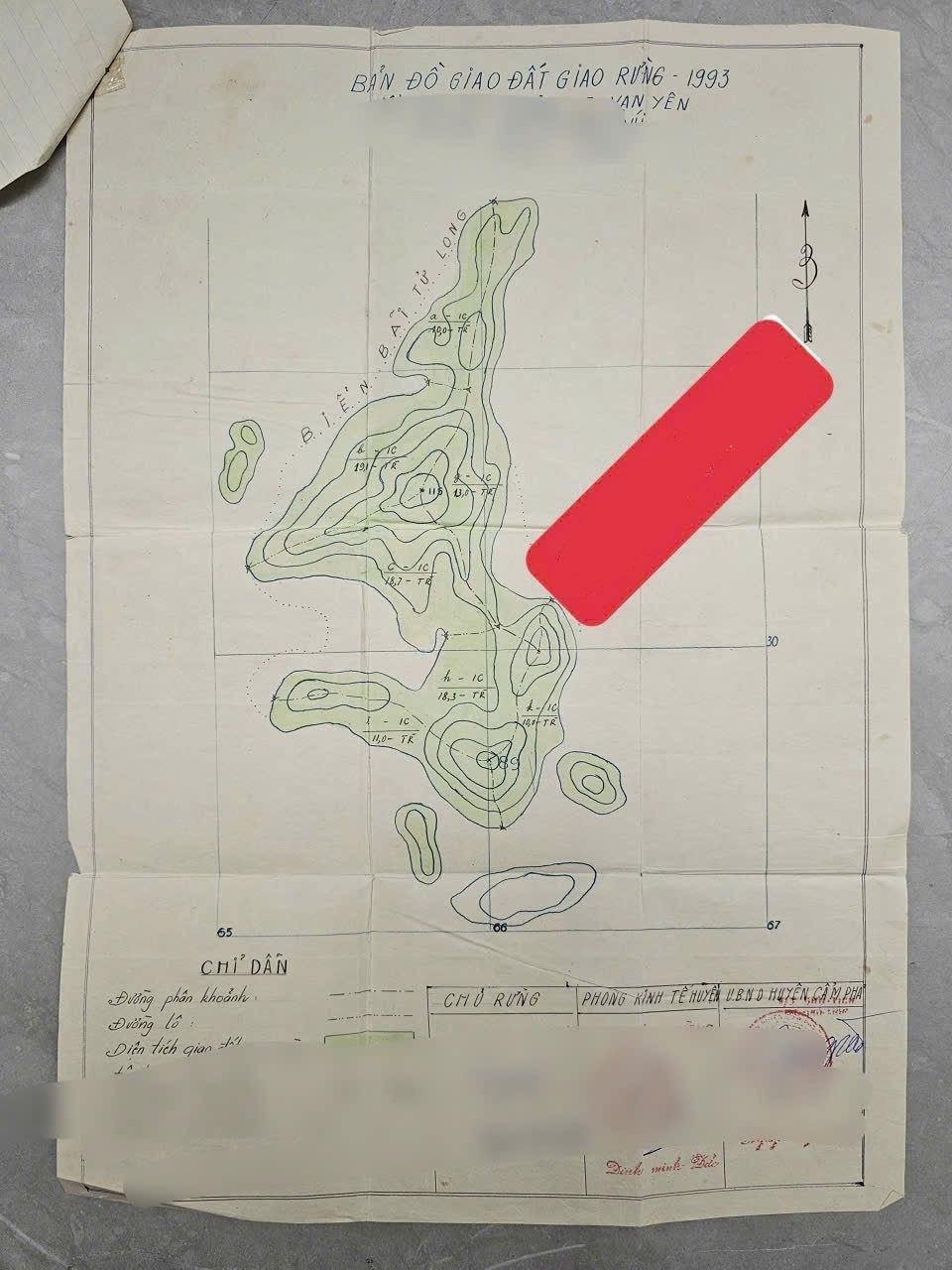 Sở hữu bãi cát trắng mịn, cảnh quan hoang sơ, mặt nước trong xanh, rất phù hợp phát triển du lịch sinh thái, nghỉ dưỡng, glamping hoặc đầu tư dài hạn.