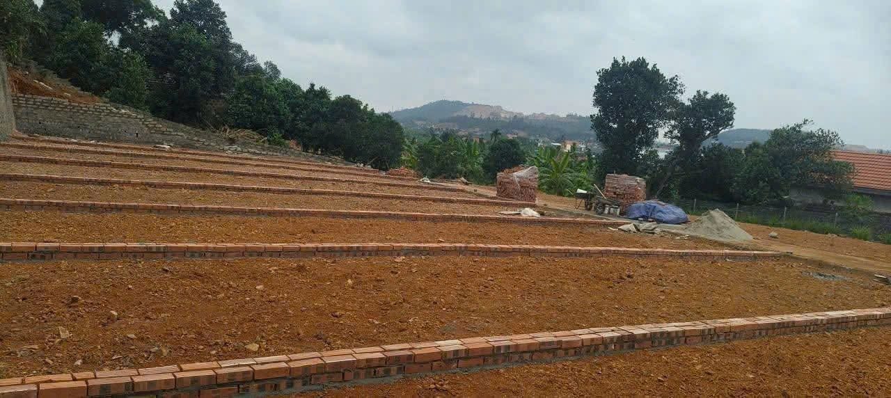 04/2026.Bán đất 62m² full thổ cư ngang 4m giá 290 triệu tại Xã Việt Khê( Kỳ Sơn). liên he60362558882