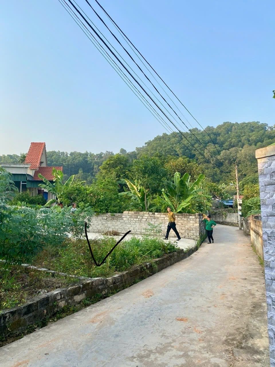 06.2026. Bán Đất 60m² giá 450 triệu tại Kỳ Sơn.Xã Việt Khê Hải Phòng. liên hệ 0362558882