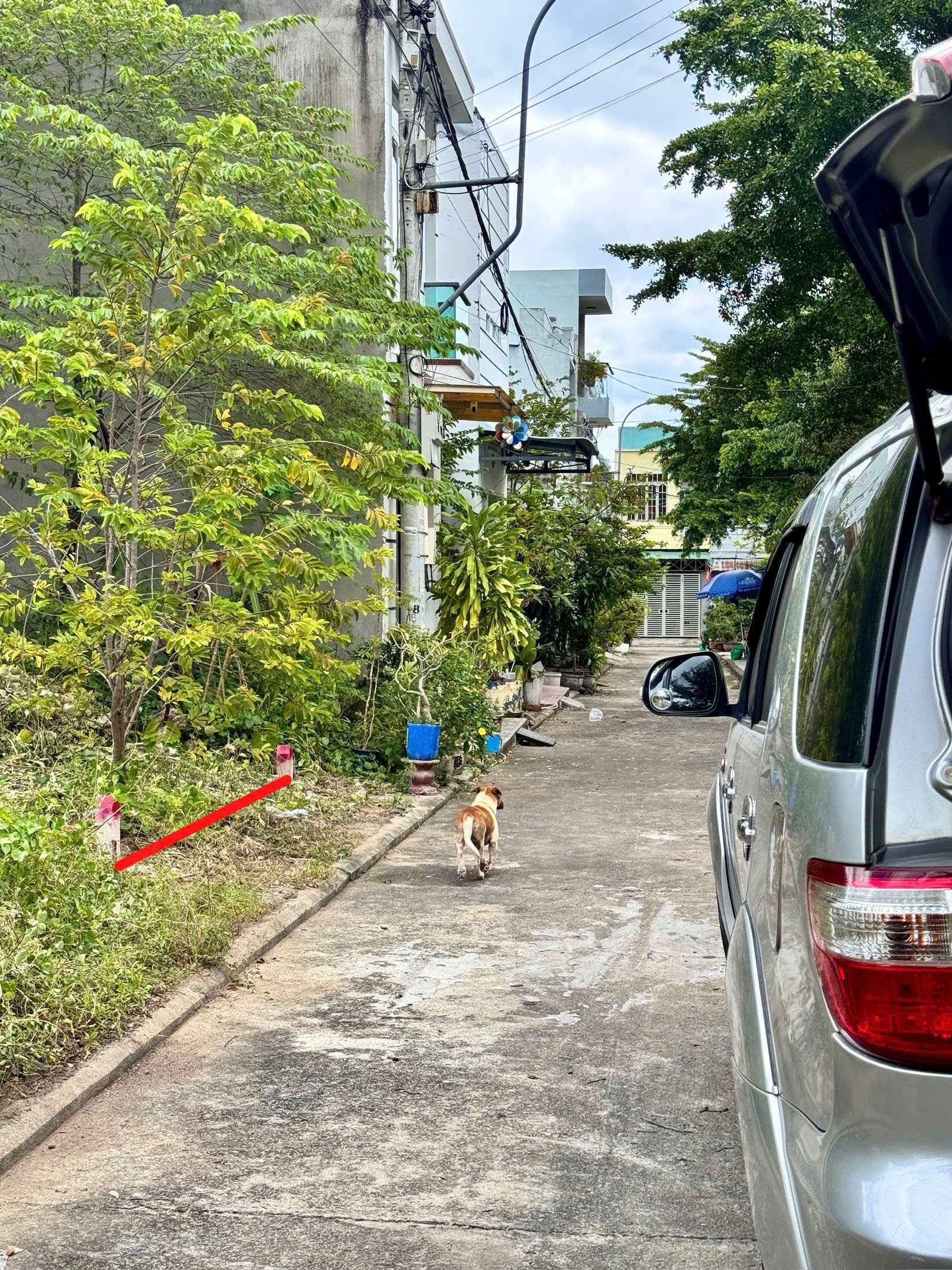 BÁN ĐẤT TĐC ĐẤT LÀNH – VĨNH THÁI, NHA TRANG
✔ Khu cao ráo, không ngập nước
📐 Diện tích: 64m² (4m × 16m)
📕 Sổ hồng TĐC – xây dựng tự do
🌳 Đối diện công viên, không gian thoáng mát
🚗 Cách đường Phong Châu chỉ vài bước
🔥 Ngay cạnh KĐT hỗn hợp Sun Group