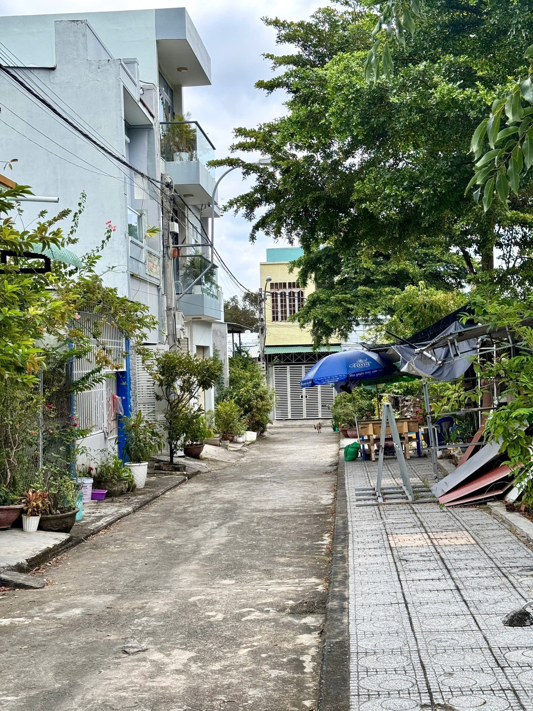 BÁN ĐẤT TĐC ĐẤT LÀNH – VĨNH THÁI, NHA TRANG
✔ Khu cao ráo, không ngập nước
📐 Diện tích: 64m² (4m × 16m)