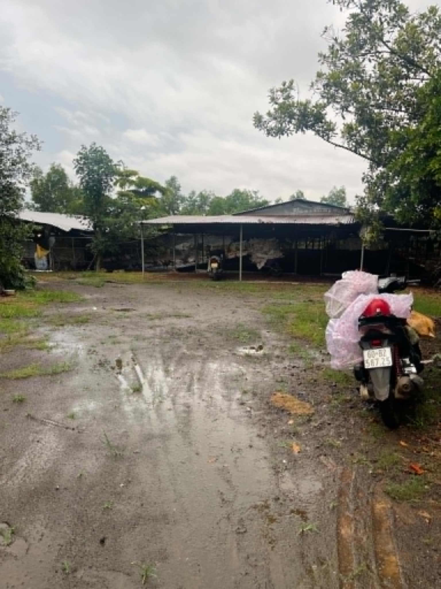 🐔 BÁN TRANG TRẠI ĐANG NUÔI 10.000 CON GÀ – 4.315,9m² ĐẤT CẨM MỸ – MUA LÀ KHAI THÁC NGAY!