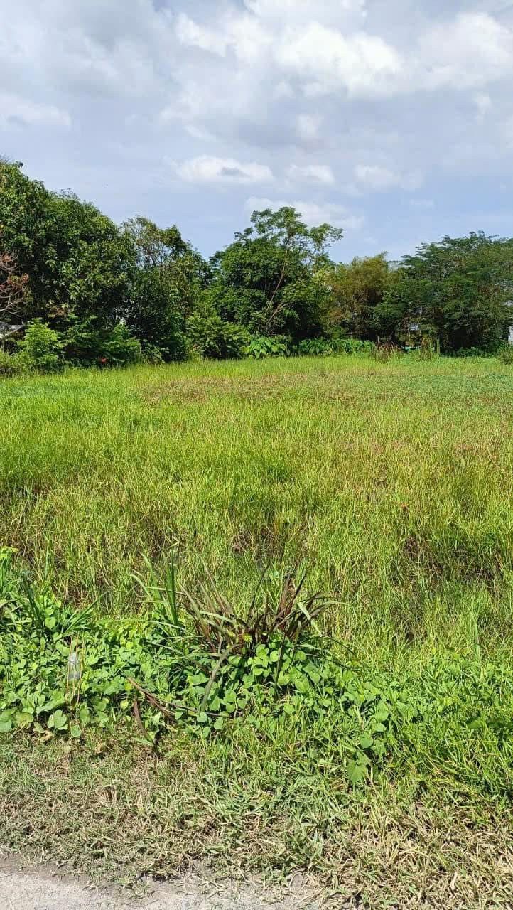 Bán đất thổ cư tân hiệp, xuân lộc, đồng nai
