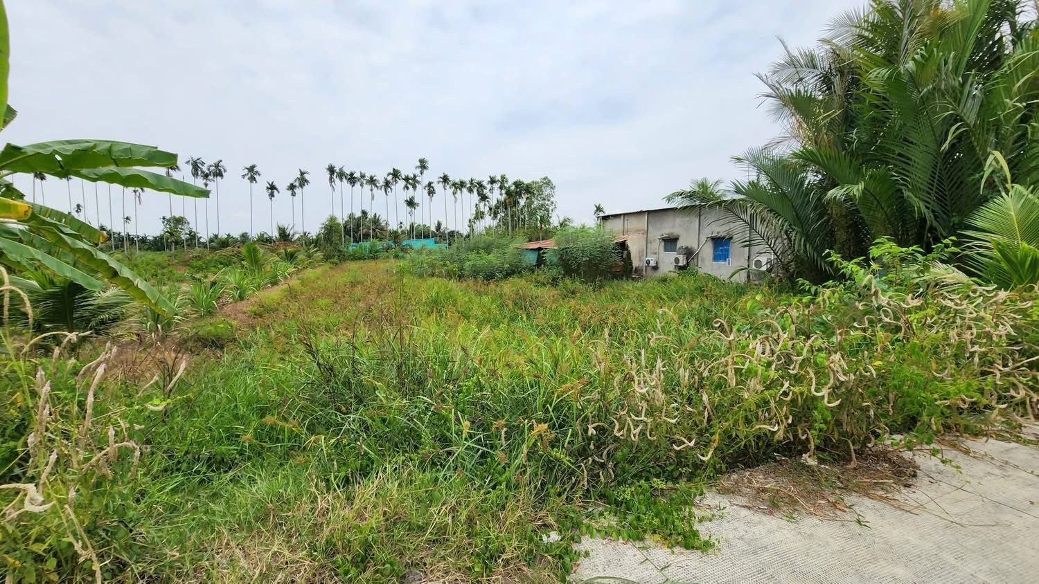 Ban đất thổ cư xuân lộc đồng nai