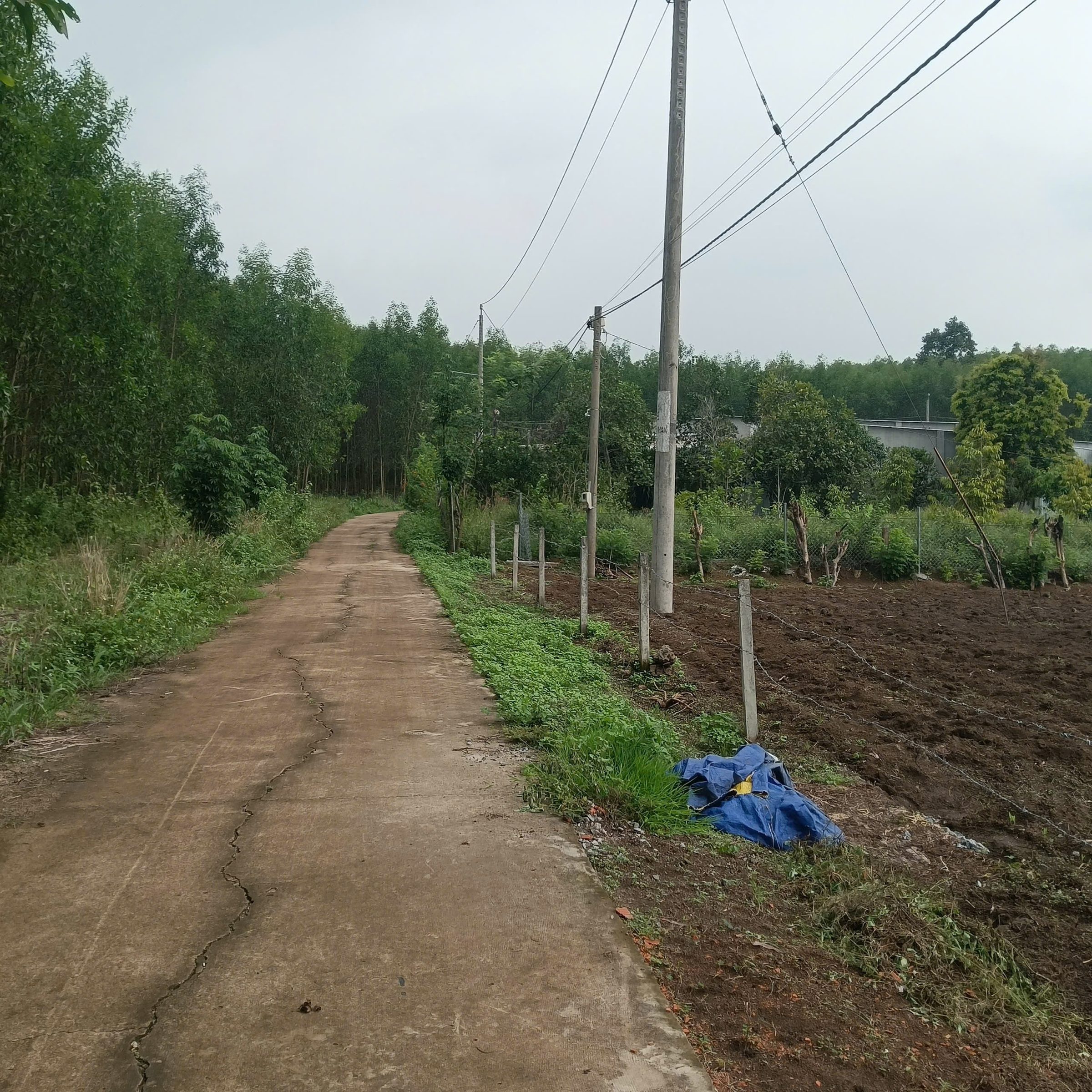 Bán đất thổ cư Xuân Quế, Cẩm Mỹ,Đồng Nai