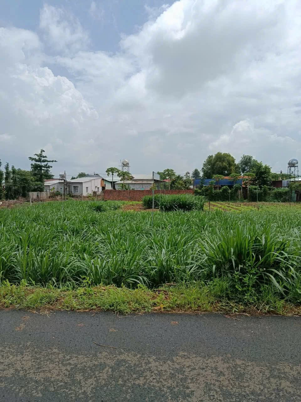 Cần Bán đất Chính Chủ, dt 619.5m², thổ cư 100m2, ngang 15mx48m, giá 2.4 tỷ tại Xã Xuân Sơn