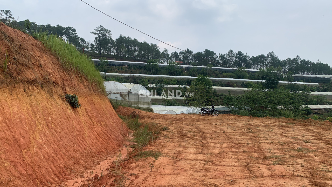 Bán  đất nông nghiệp 831m² , giá 3.2 tỷ tại, Xã Xuân Thọ, Thành phố Đà Lạt, Lâm Đồng