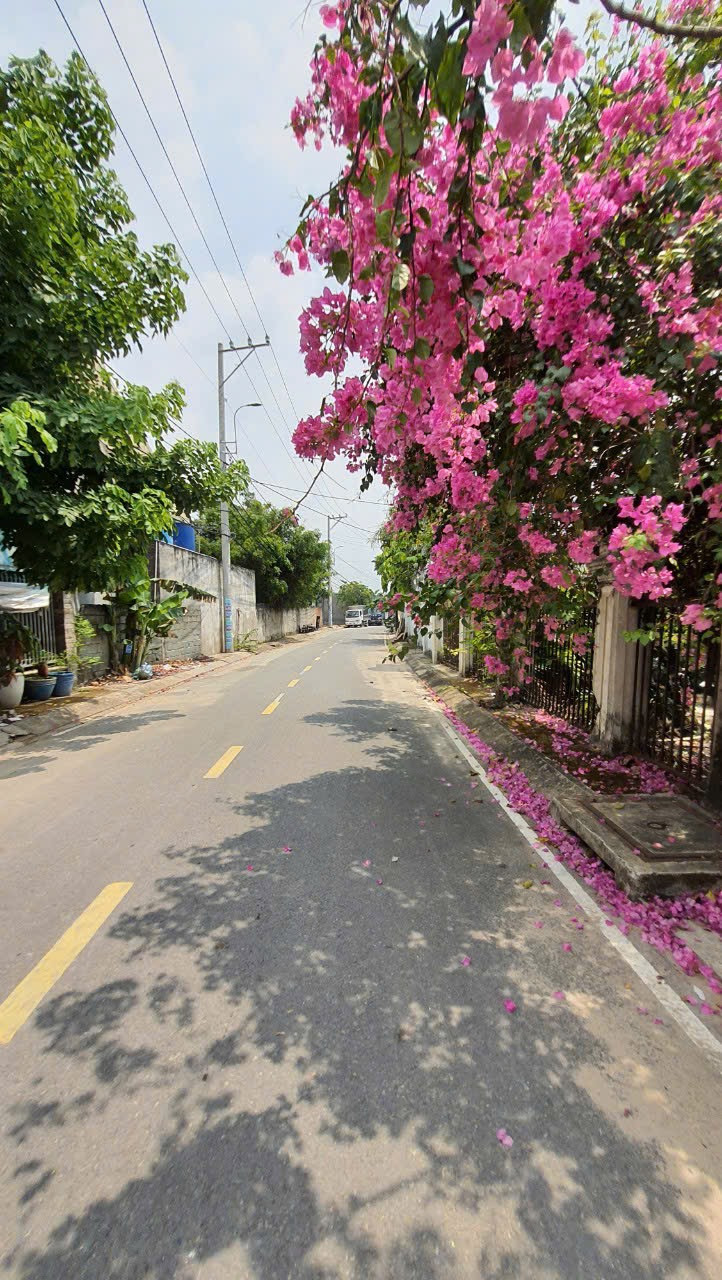 Bán Biệt Thự 352m ngang 14m nở hậu tài lộc, MT đường Xuân Thới Thượng, Hóc Môn.