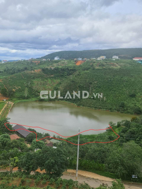 Bỏ phố về rừng với view nhức nách
