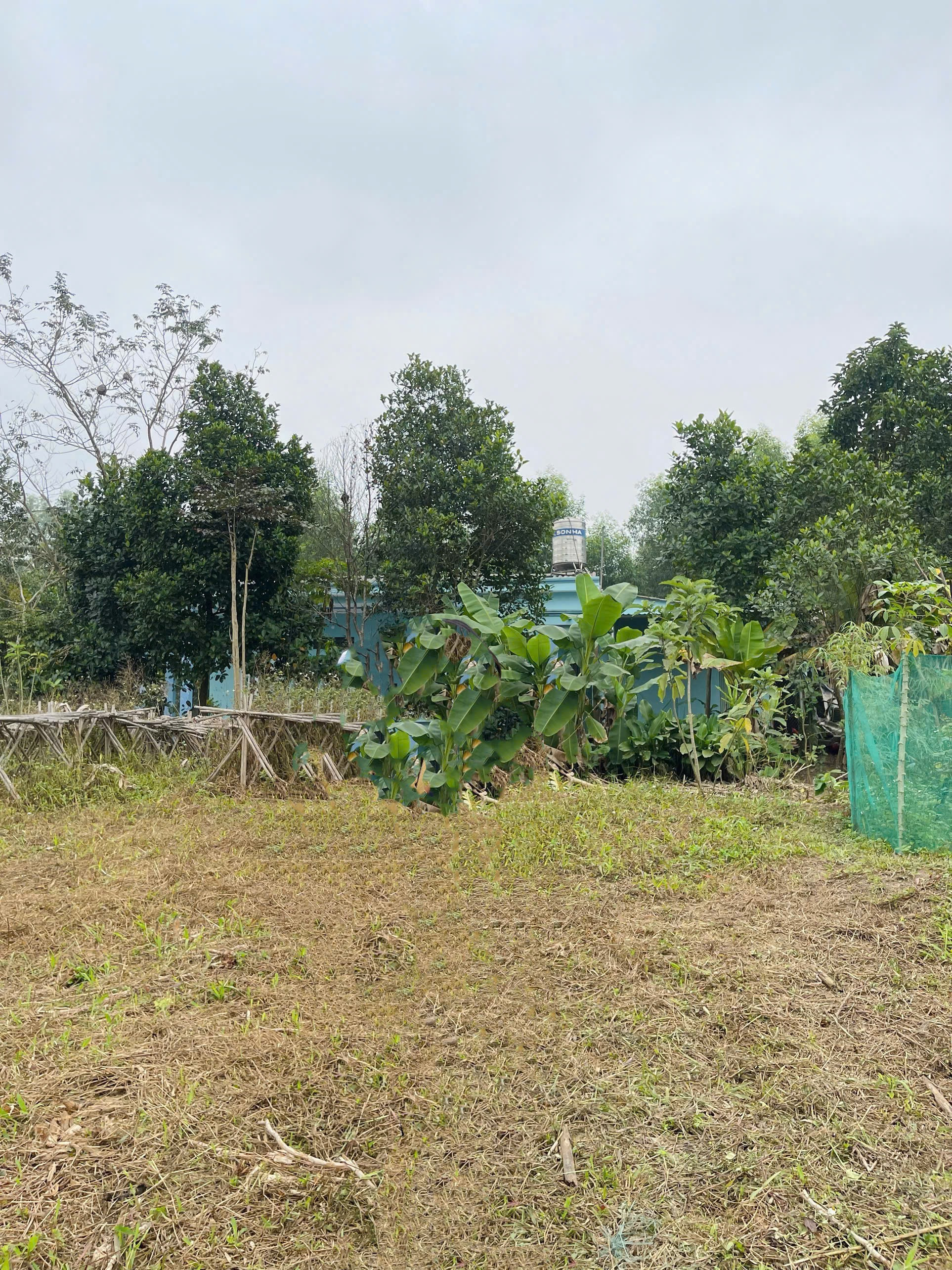 Đất đẹp