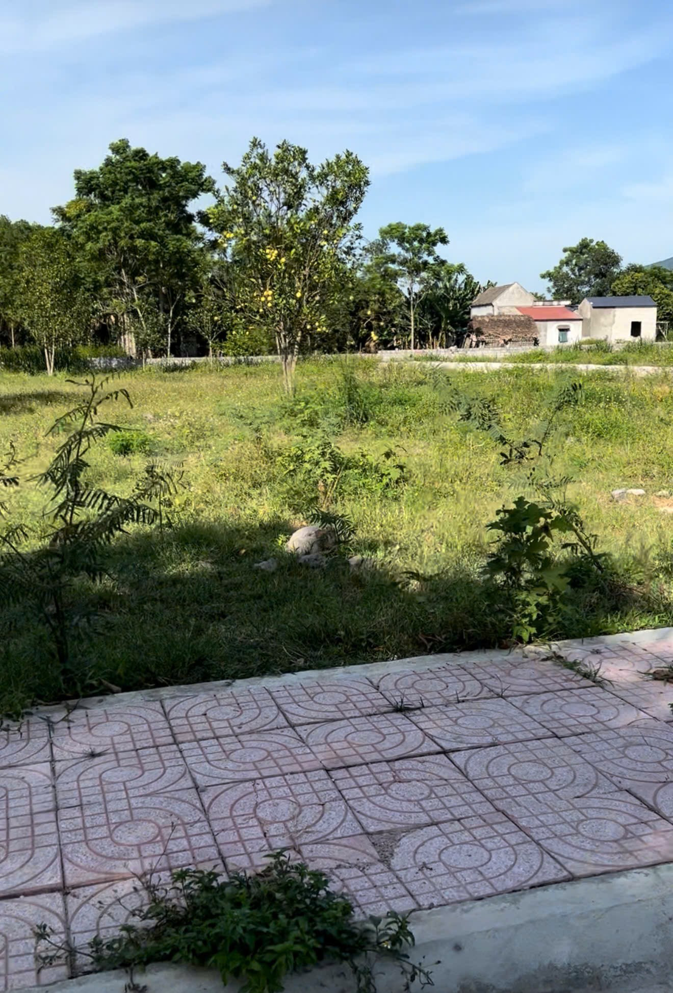 CHính chủ gửi bán lô đất tại Yên Mỹ Nông Cống