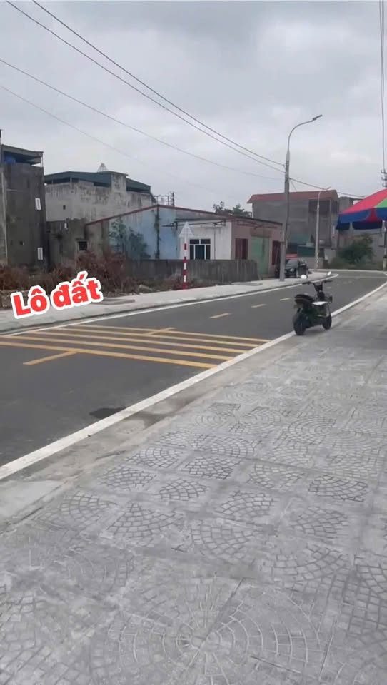 Trục chính đường nhựa khu thọ sơn mạo khê