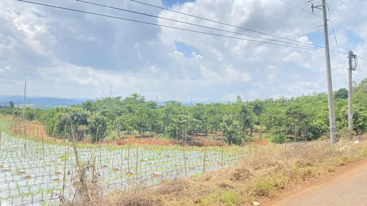 Bán Đất 8000m2 giá 12.5 tỷ tại Nhánh Xã Ninh Gia Huyện Đức Trọng Lâm Đồng