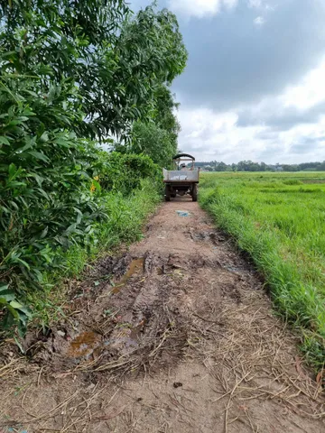 (L355) Đất nông nghiệp đẹp xã Tân Thạnh Đông, DT 1899m2, chỉ 3 tỷ 700