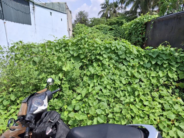 🔥🔥 Đất 217m², Nở hậu, Đ.3m – Thạnh Lộc 51 Q12