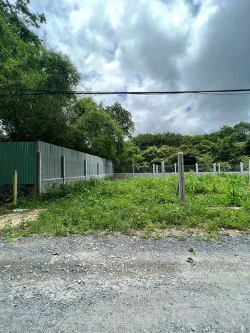 CẦN BÁN LẠI NỀN ĐẤT 10X26=260M2 THỔ CƯ SỔ HỒNG RIÊNG DÂN CƯ HIỆN HỮU GIÁ 260 TRIỆU