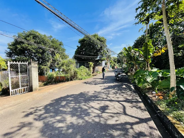 Bán đất 225.9m² có sẵn 50m² thổ cư ngang 5m giá 2.59 tỷ tại Phường Tân Hòa Thành phố Buôn Ma Thuột