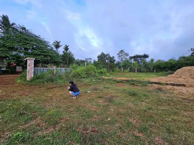 Bán đất 1640m² ngang 29m giá 2.05 tỷ tại Xã Cuor Đăng Huyện Cư M'gar