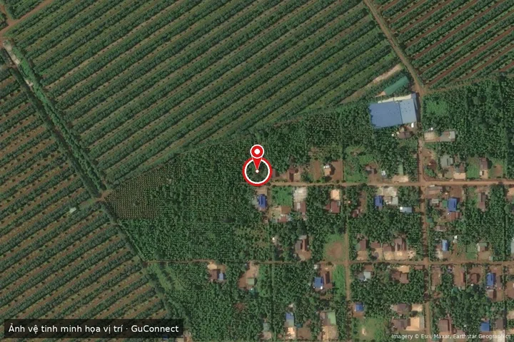 Bán đất 150.7m² 300 triệu tại Xã Ea D'Rơng Huyện Cư M'gar