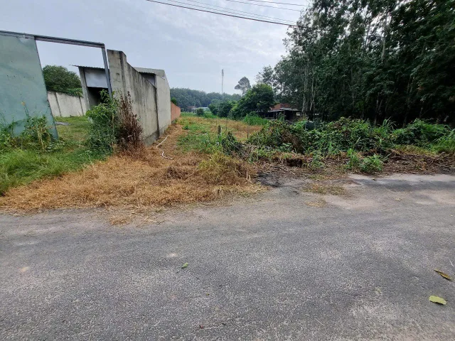 (L545) ( Đã bán ) Đất 1/ Nguyễn Văn Tiệp, xã An Phú, dt 1.125m2, thổ cư 215m2, giá chốt 3 tỷ 500
