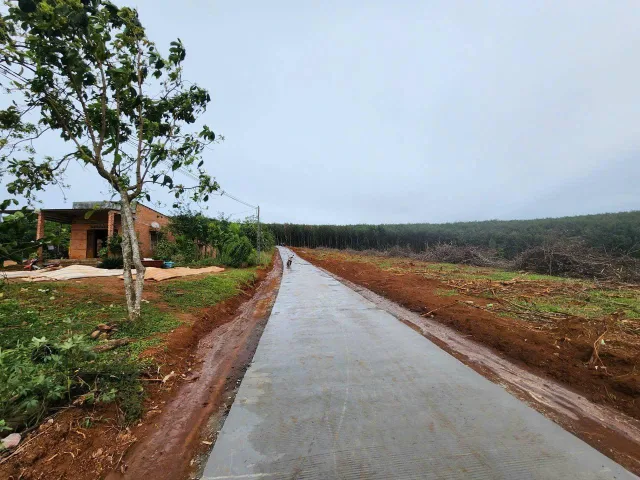 🔥 20 lô Đất 1315m², Đ.6m – Đắk Wer Đắk Nông