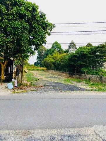 Bán đất 13057m² 220 tỷ tại Xã Phú Hòa Đông Huyện Củ Chi