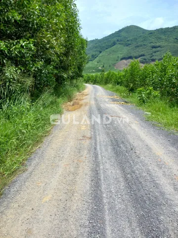 Bán  đất rsx 40000m² , giá 1.6 tỷ tại, Xã Ninh Tây, Thị xã Ninh Hòa, Khánh Hòa