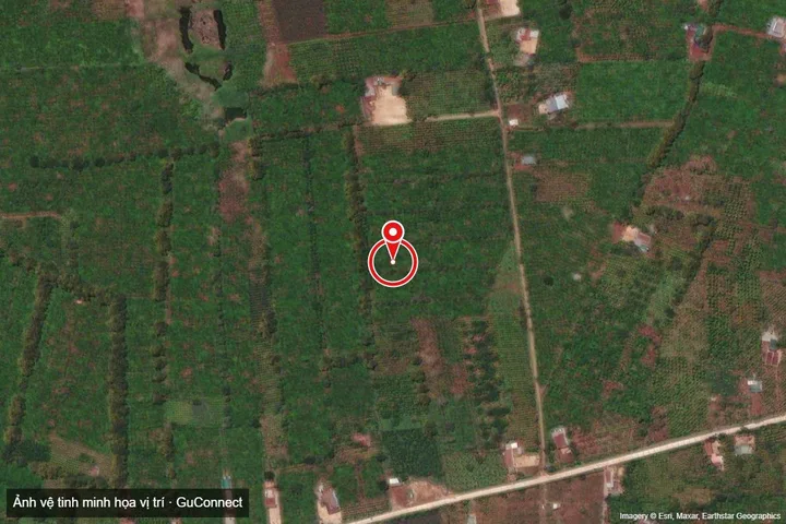 Bán đất 60000m² 30 tỷ tại Xã Ea Tóh Huyện Krông Năng - Sầu riêng + Cà phê