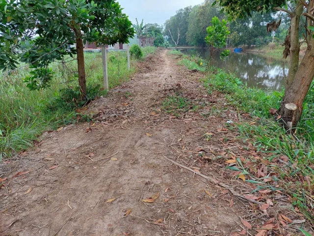 (L168) Đất cây lâu năm, xã Tân Thạnh Tây, dt 1.658m2, giá chỉ 2tr/m2